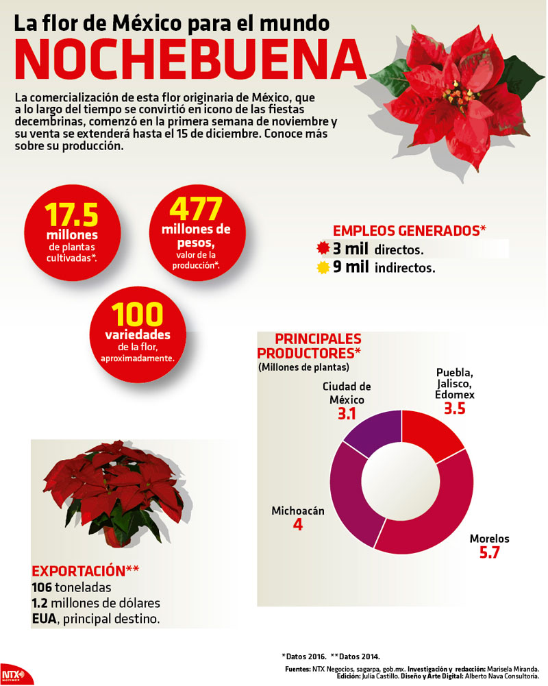 Hoy Tamaulipas - Infografía: La flor de México para el mundo: Nochebuena