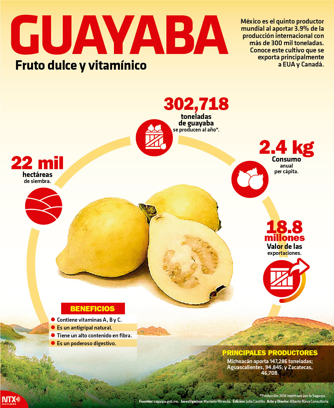 Guayaba, fruto dulce y vitamnico 