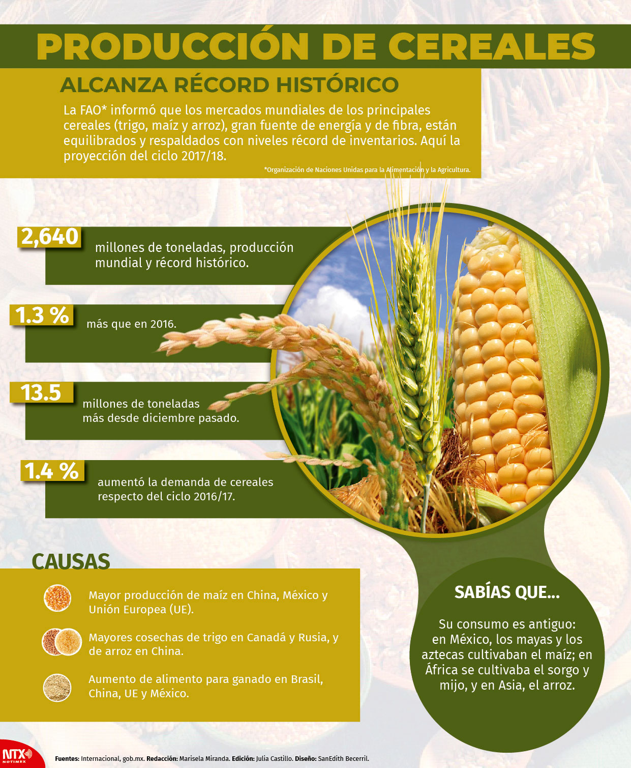 Hoy Tamaulipas Infografía Producción de cereales alcanza récord