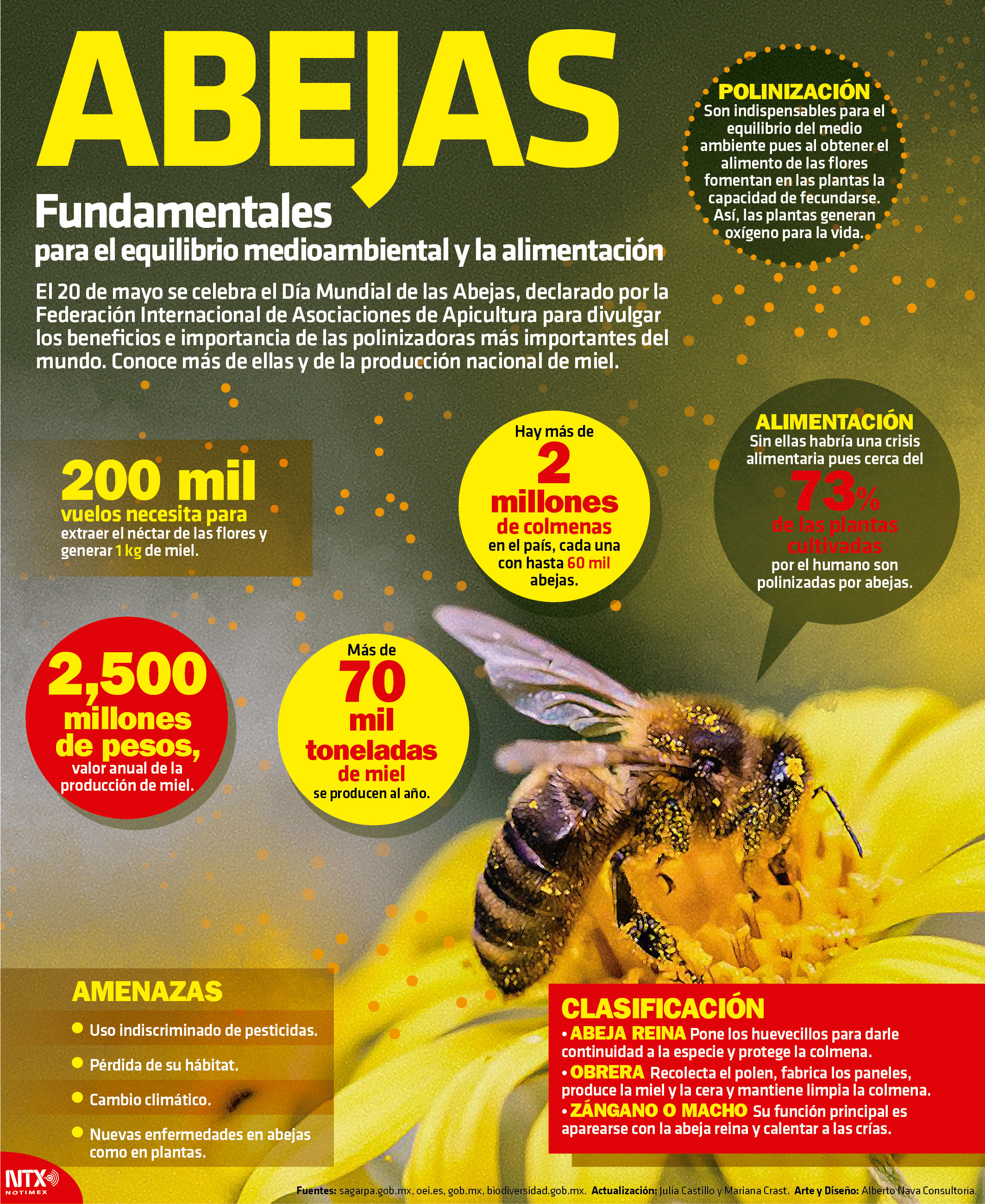 Abejas