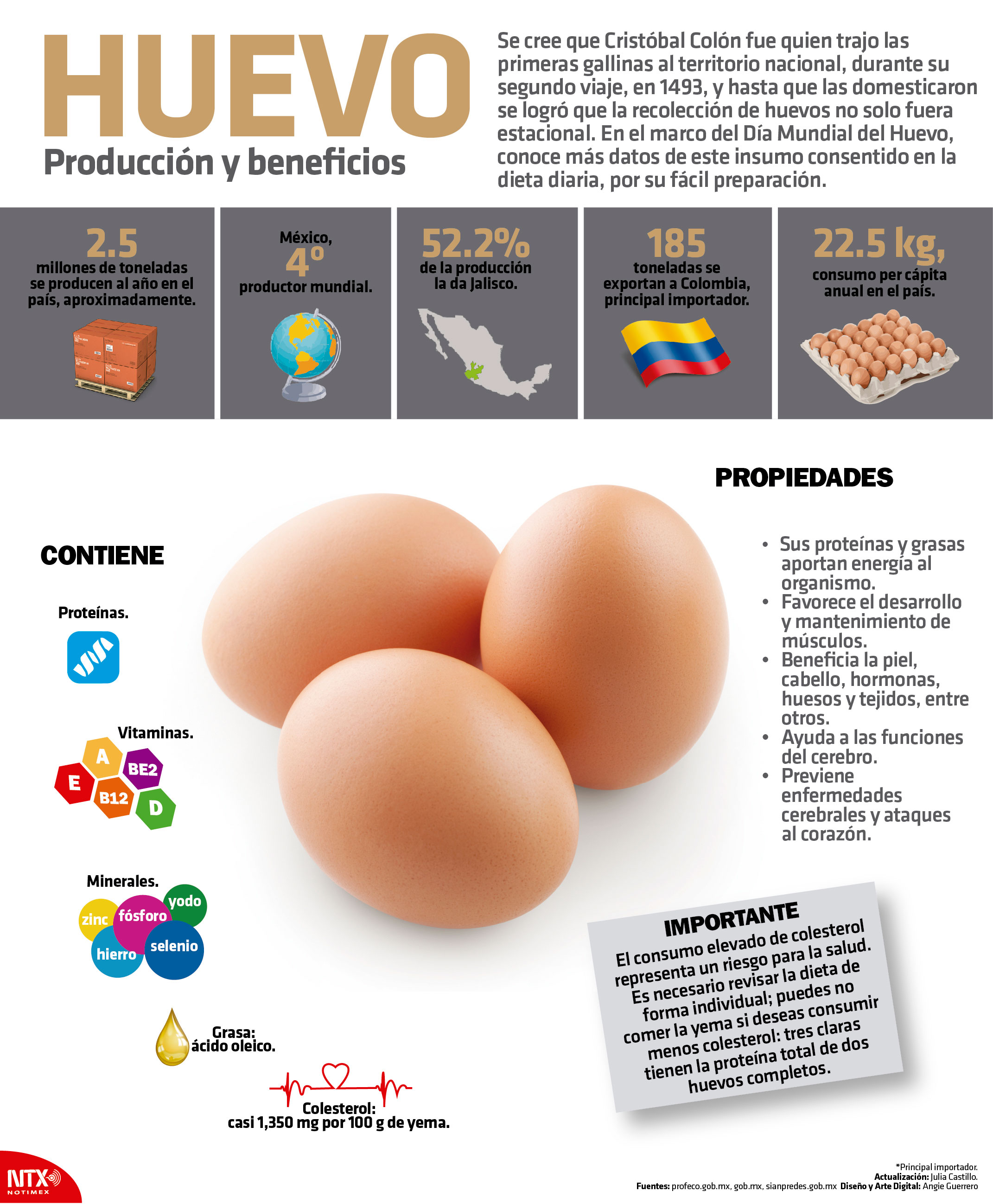 Huevo, produccin y beneficios 