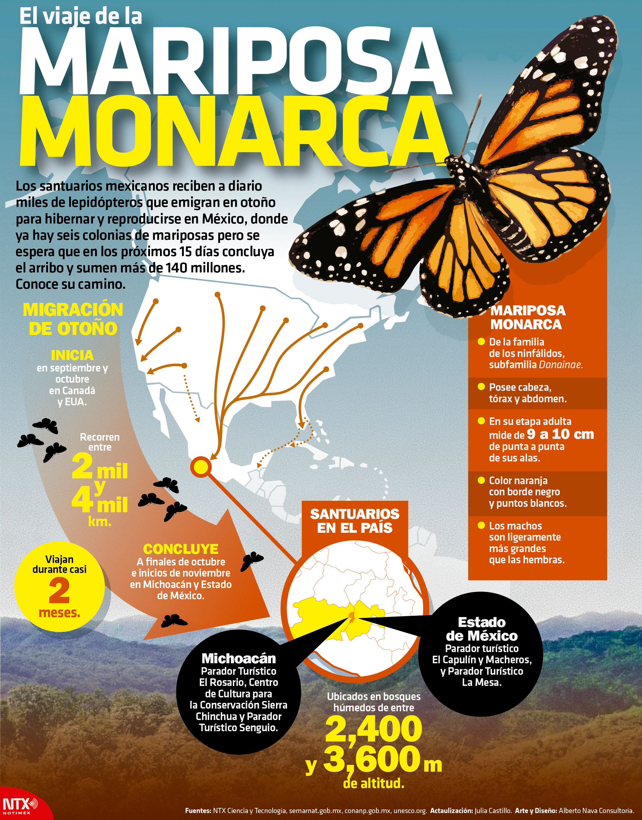 El viaje de la Mariposa Monraca
