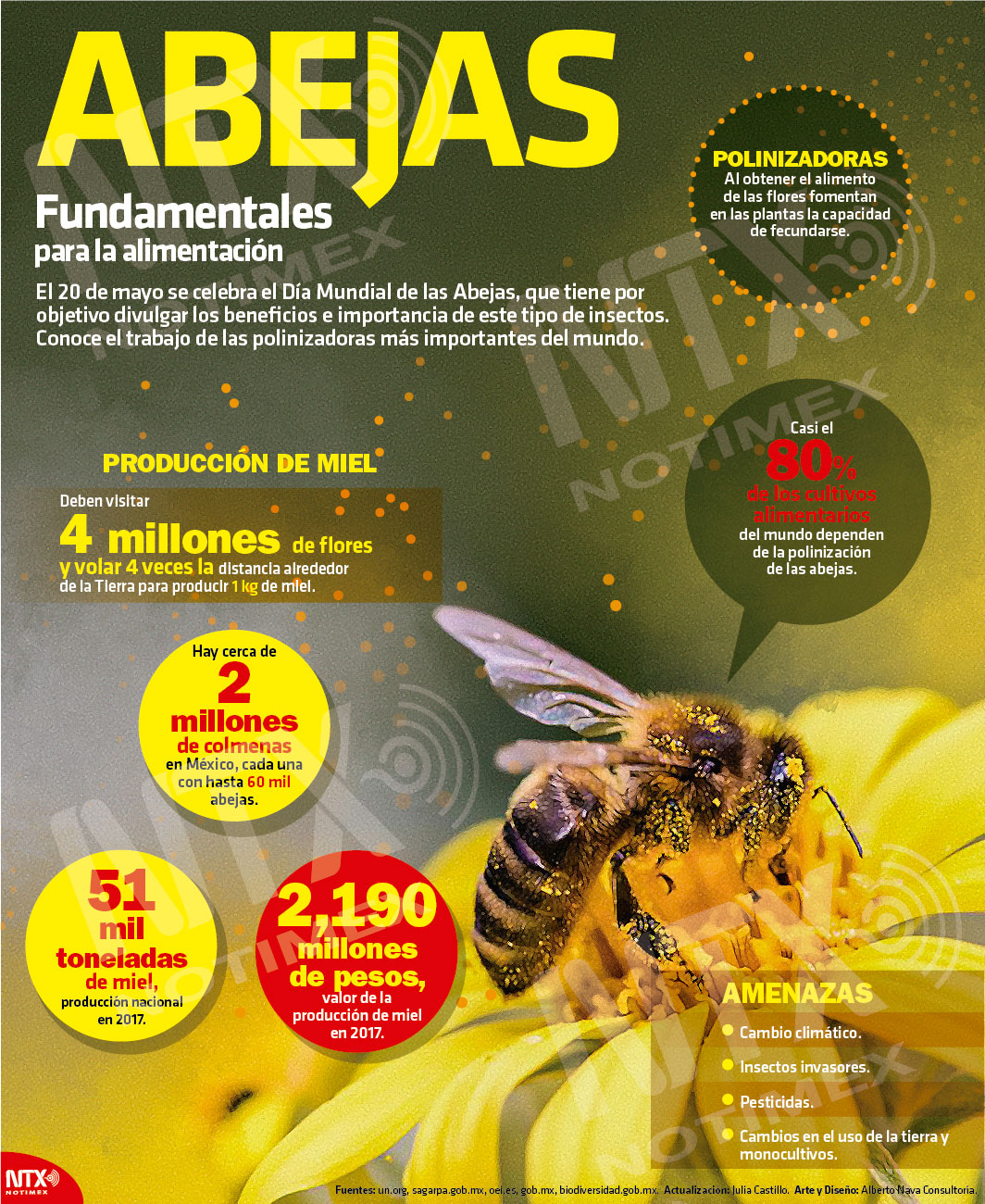 Abejas fundamentales para la alimentacin