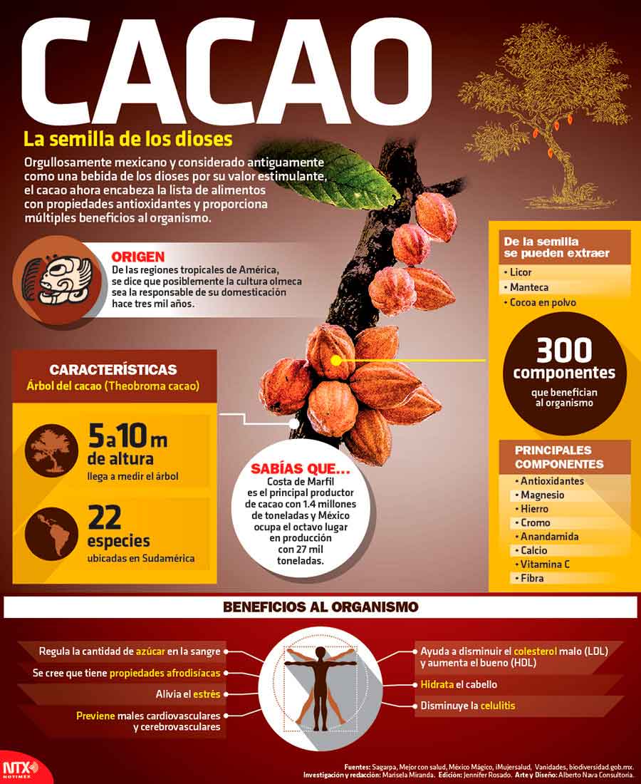 Cacao, la semilla de los dioses