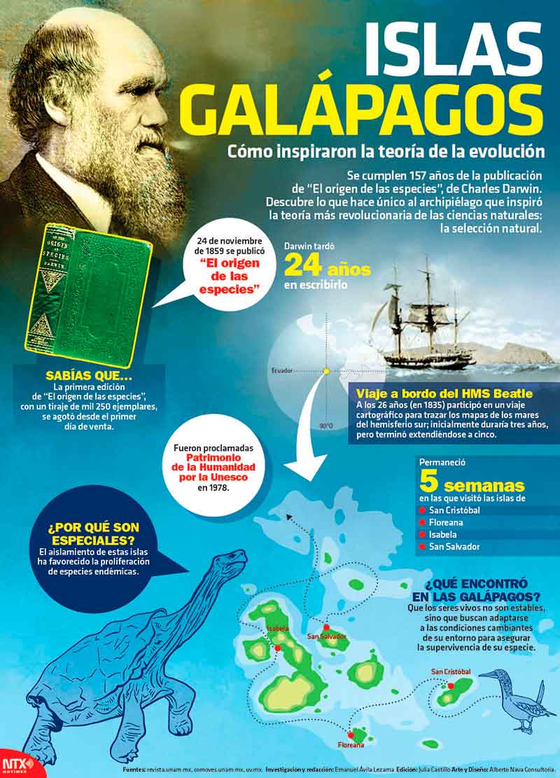 Islas Galpagos, cmo inspiraron la teora de la evolucin