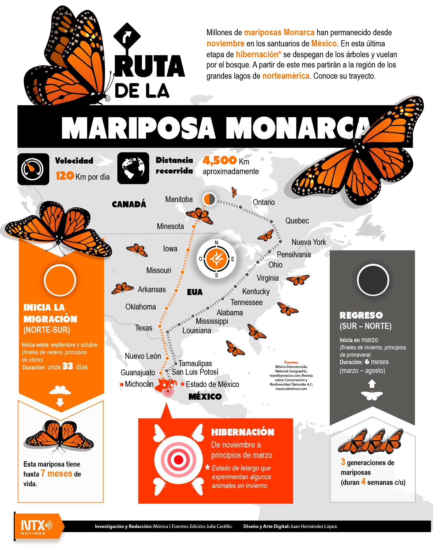 Ruta de la mariposa monarca
