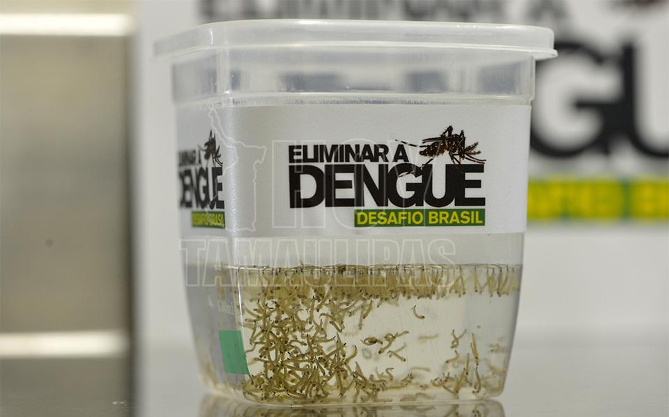 Nuevo León reporta 122 casos de zika y 610 de dengue - Hoy Tamaulipas