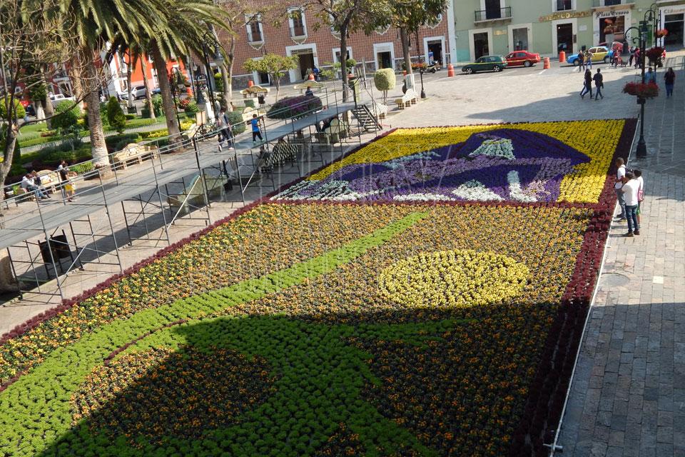 Atlixco exhibe tapete monumental de primavera con 100 mil flores