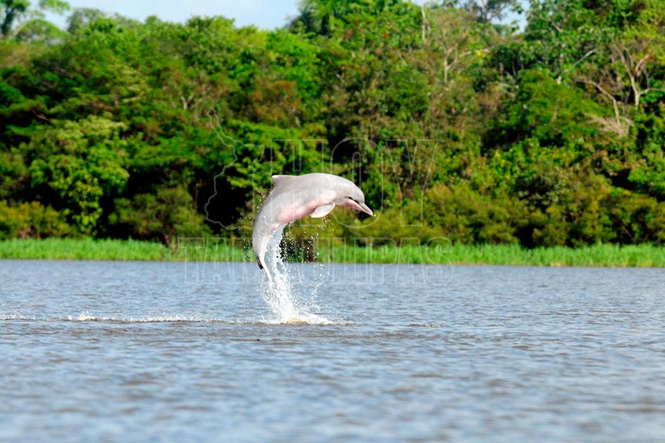 Lagos de Tarapoto primer humedal Ramsar de la Amazonia colombiana