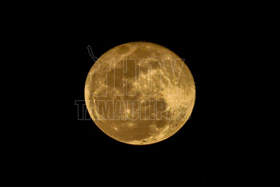Luna dorada ilumina la noche