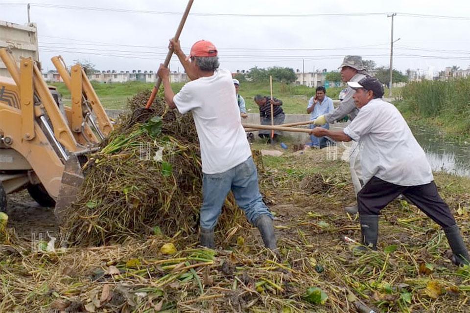 Hoy Tamaulipas - Gobierno de Madero trabaja en la limpieza de canales y ...