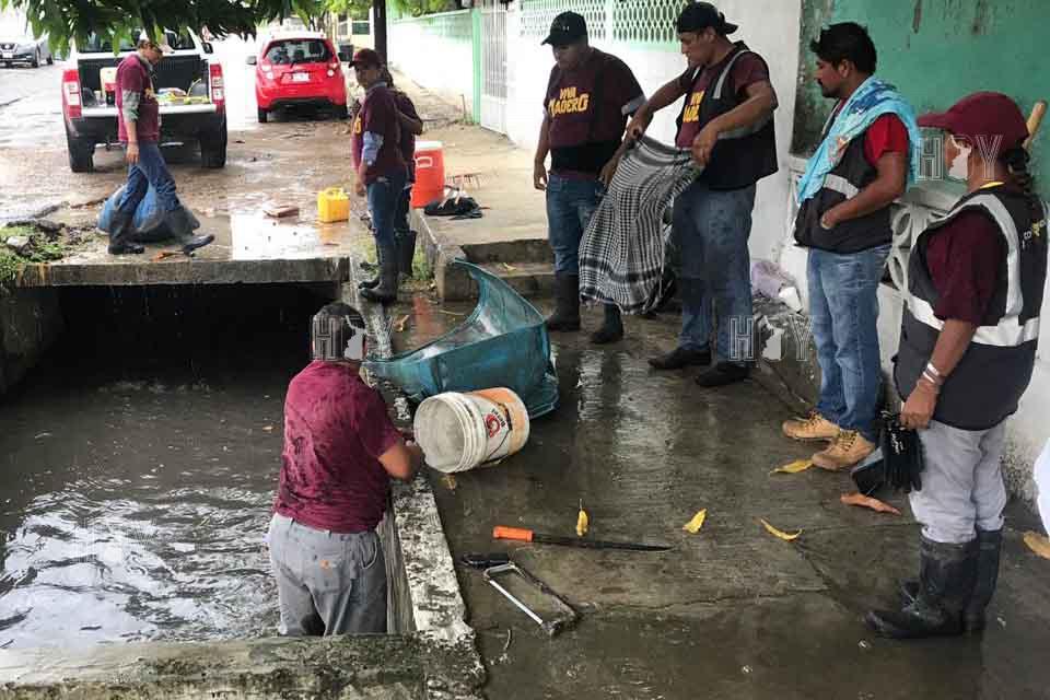 Hoy Tamaulipas - Permanente limpieza de canales en Ciudad Madero