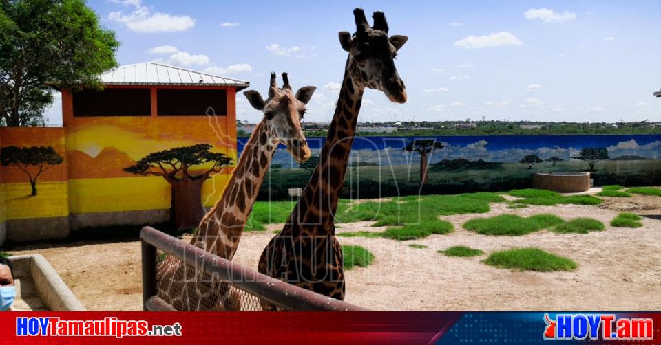Hoy Tamaulipas Tamaulipas Abrira este viernes el zoologico en Nuevo