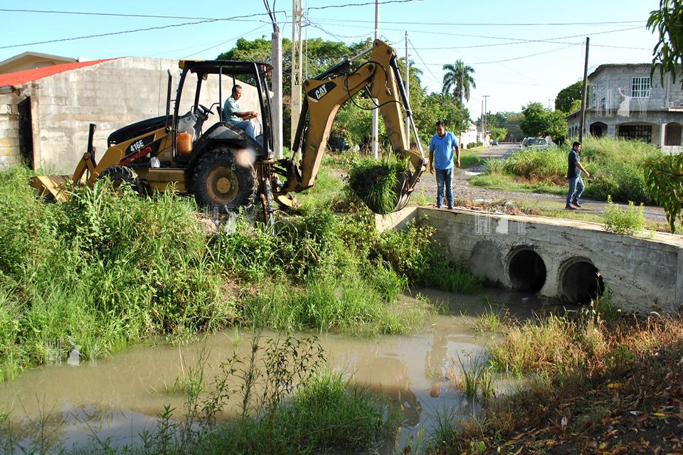 Hoy Tamaulipas - En Mante continuan trabajos de desazolve de drenes