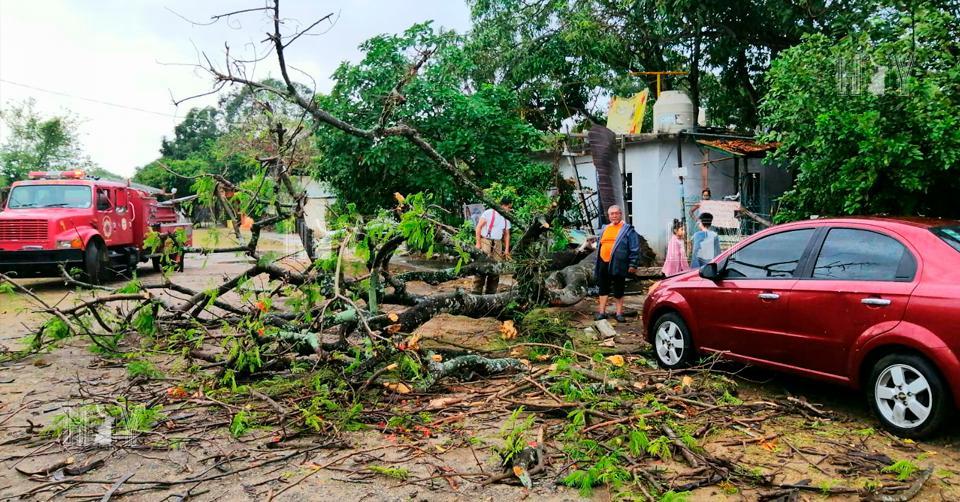 Hoy Tamaulipas - Incidentes menores deja tormenta elctrica en Tampico - Vimarsana News