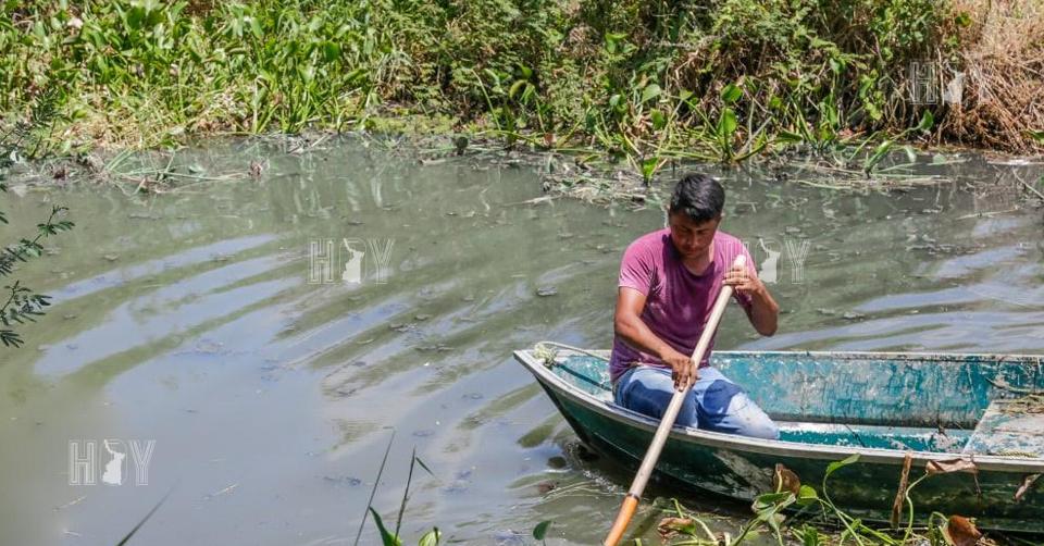 Hoy Tamaulipas - Tamaulipas Intensifican limpieza de canales en Ciudad ...