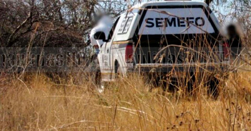 Hoy Tamaulipas - Tamaulipas Encuentran a un hombre sin vida en un rancho de Gonzlez Tamaulipas - Vimarsana News