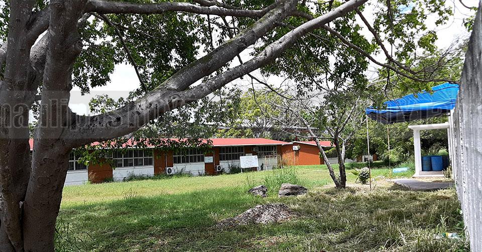 Hoy Tamaulipas - Tamaulipas Maestros de Tampico listos para regresar a aulas pero debe existir seguridad sanitaria - Vimarsana News