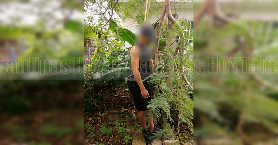 Hoy Tamaulipas - Tamaulipas Se cuelga de un rbol en casa de sus padres en Altamira - Vimarsana News