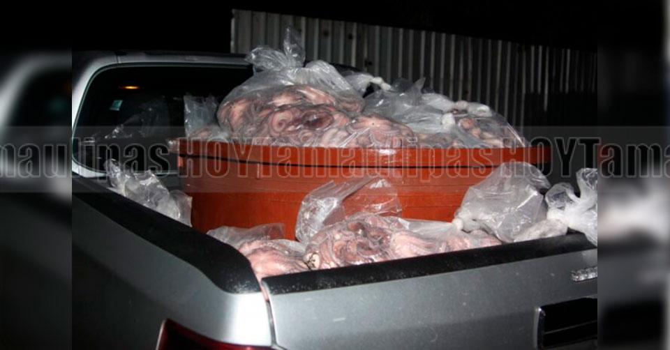 Hoy Tamaulipas - Toneladas de producto marino son asegurados durante cateo en Yucatn - Vimarsana News