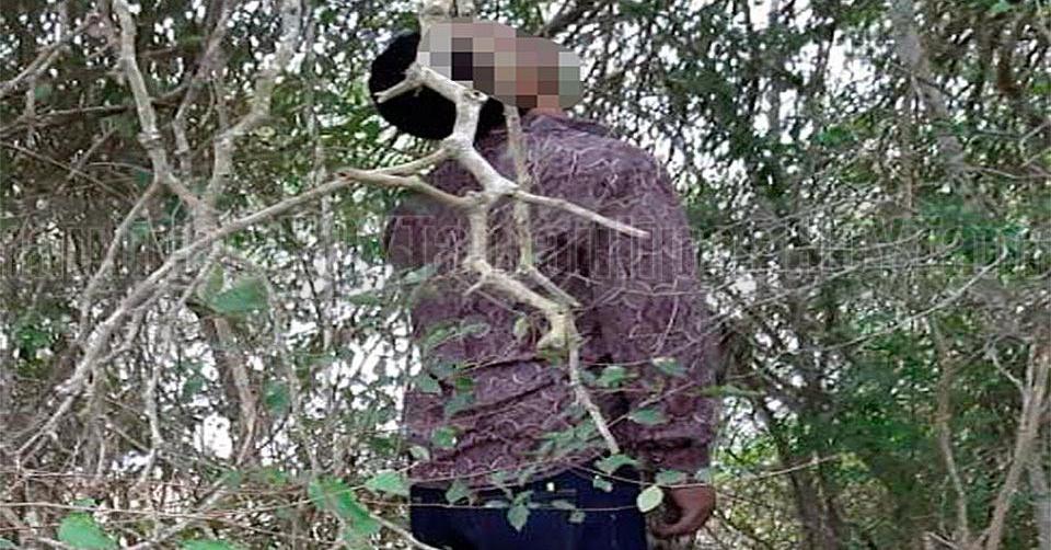 Hoy Tamaulipas - Termin de cenar con su padre y se fue a colgar de un rbol en Matamoros - Vimarsana News