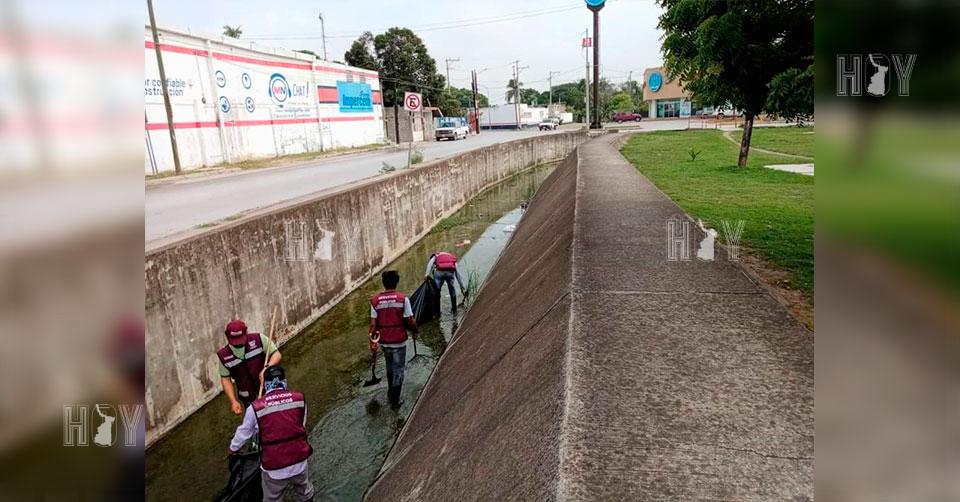 Hoy Tamaulipas - Tamaulipas Continua la limpieza de canales en diversas ...