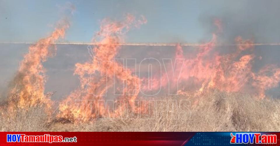 Hoy Tamaulipas – Al menos un incendio de pastizal o forestal atiende PC de Amecameca cada tercer día