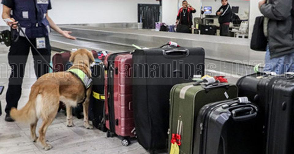 Avlo el tren low cost de Renfe - Información Avlo