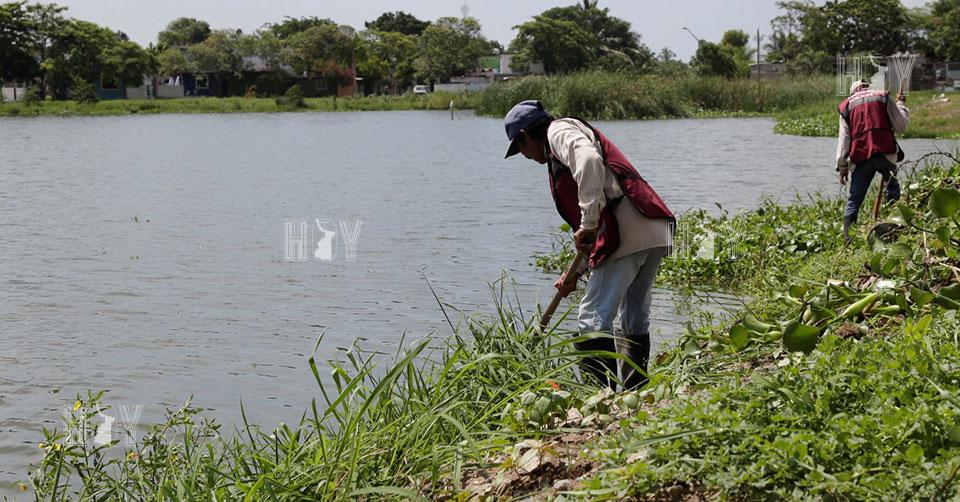 Hoy Tamaulipas - Gobierno de Ciudad Madero Permanentes los trabajos de ...