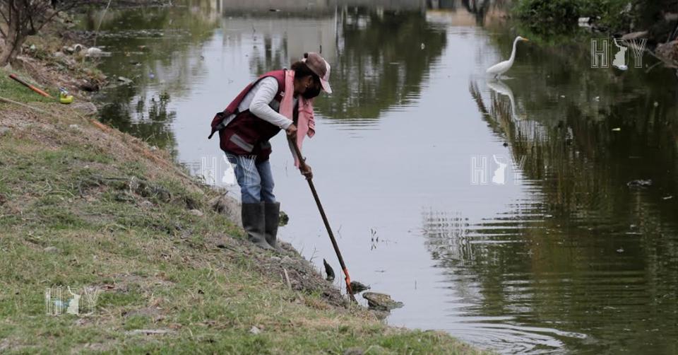 Hoy Tamaulipas - Realizan labores de limpieza en drenes pluviales de ...