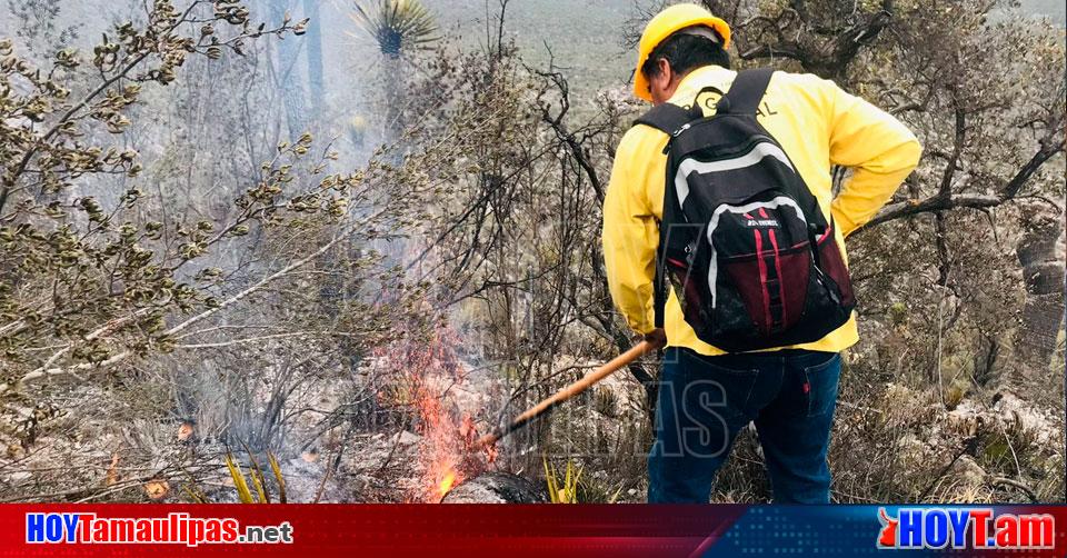 Hoy Tamaulipas – Incendio en Tamaulipas Apoyo PC de Tamaulipas en control de incendio forestal en Bustamante