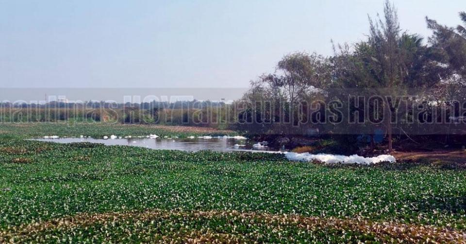 Hoy Tamaulipas - Tamaulipas Descartan desbordamiento de rios en el ...