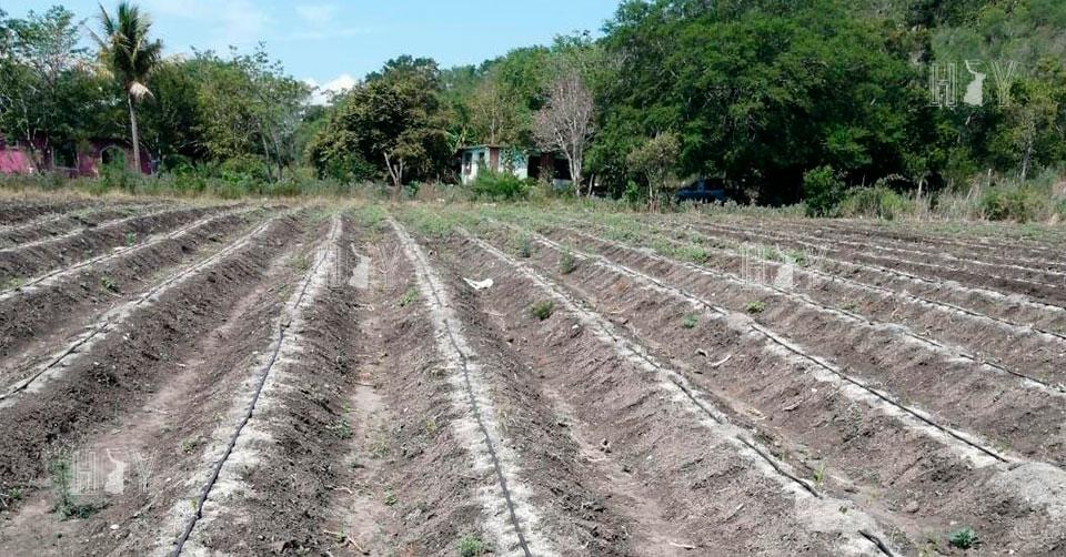 Hoy Tamaulipas - Tamaulipas Sistema lagunario de Altamira presenta ...
