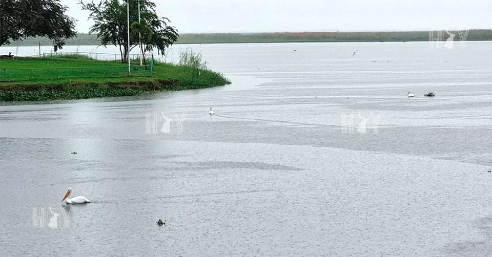 Hoy Tamaulipas - Tamaulipas Sistema lagunario del Champayan al 50 de su ...