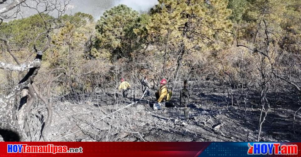 Hoy Tamaulipas – Incendios forestales han consumido 800 hectáreas en Tamaulipas PC
