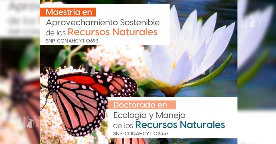 Hoy Tamaulipas - Educacion en Tamaulipas Convoca la UAT a cursar ...