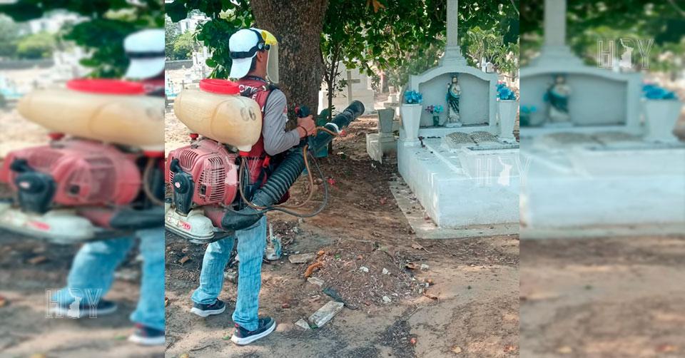 Hoy Tamaulipas - Tamaulipas Refuerzan trabajos de fumigacion en ...