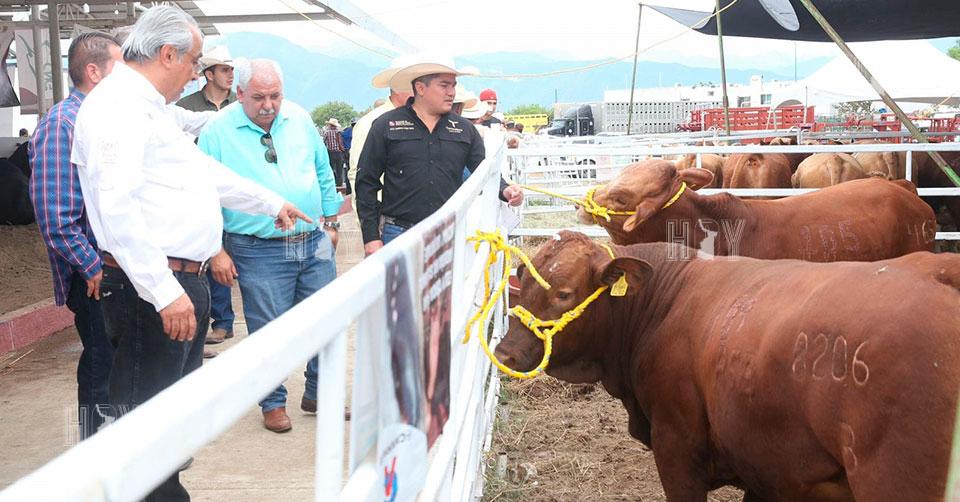 Hoy Tamaulipas - Gobierno de Tamaulipas fortalece sector ganadero con ...