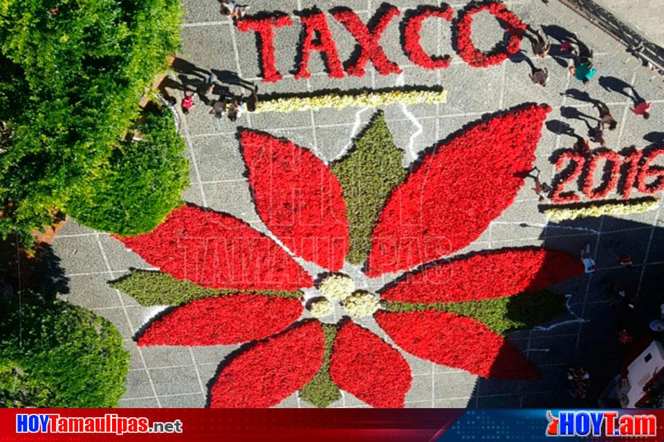 Hoy Tamaulipas - Taxco cuna de la Flor de Nochebuena
