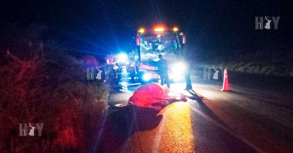 Hoy Tamaulipas - Accidentes en Tamaulipas Choca autobus con vaca y deja ...
