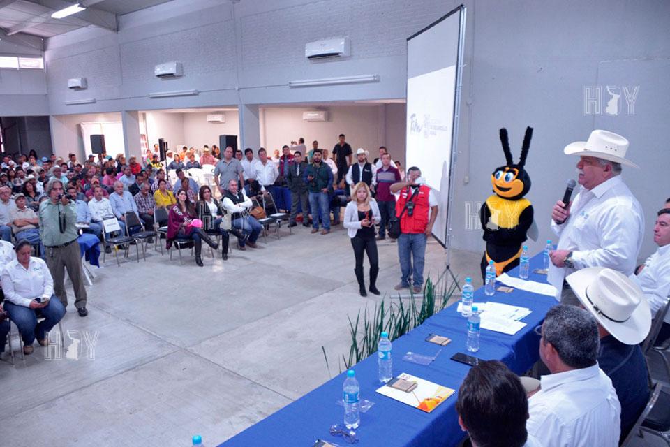Hoy Tamaulipas - Tamaulipas impulsa la apicultura con proyectos de ...