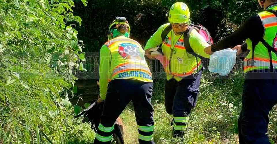Hoy Tamaulipas - Refuerzan con perros especializados busqueda de ...