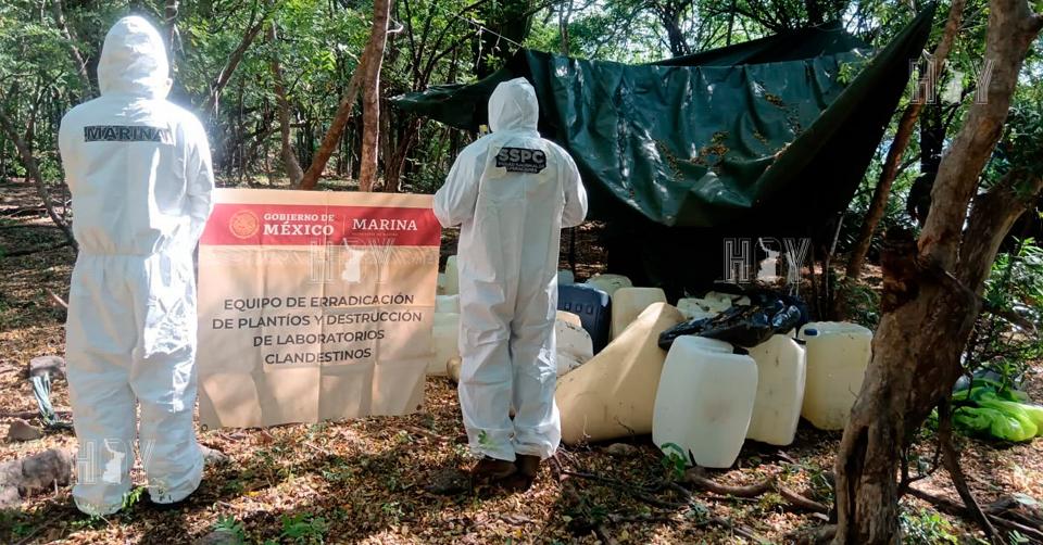 Desmantelan narcolaboratorio de 2,500 metros cuadrados en Sinaloa