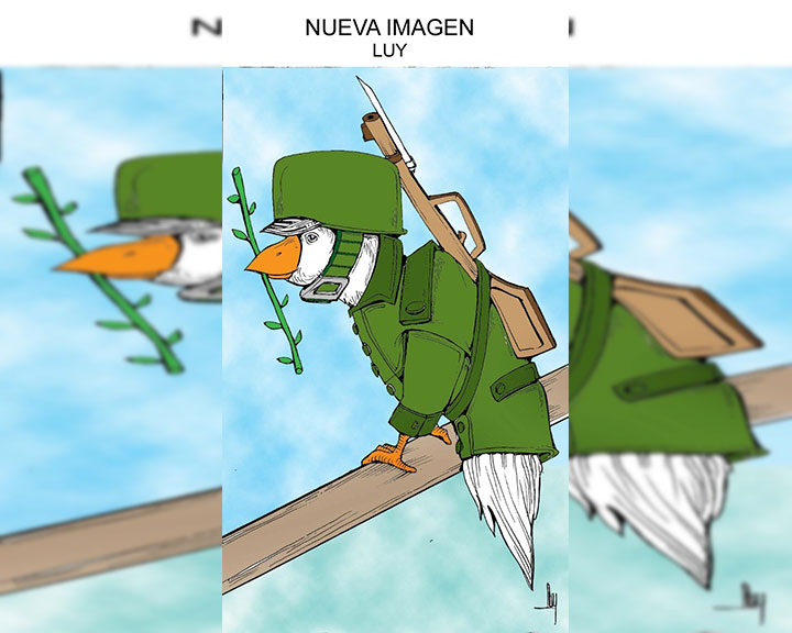 Nueva imagen