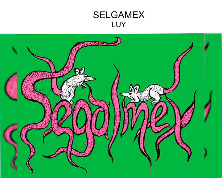 Segalmex