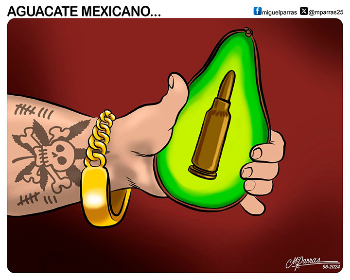 Aguacate mexicano...