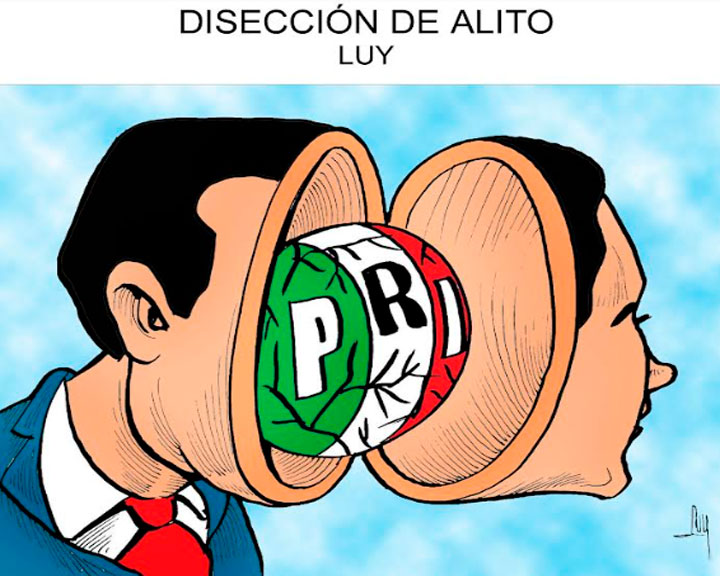Diseccin de Alito 