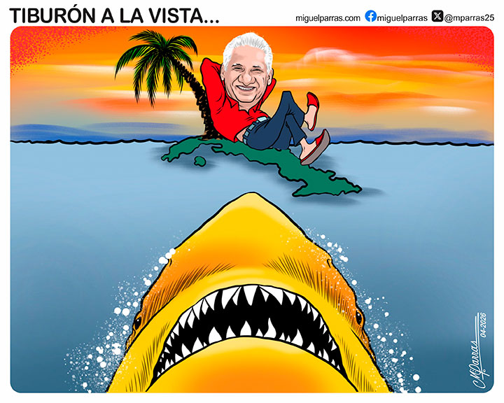 Tibur�n a la vista...