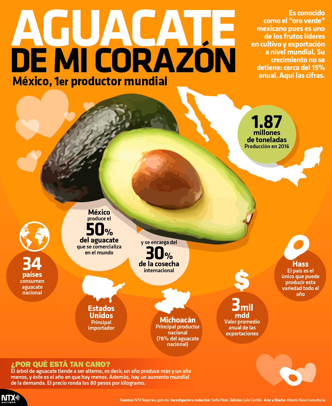 Aguacate de mi corazn, Mxico, 1er productor mundial
