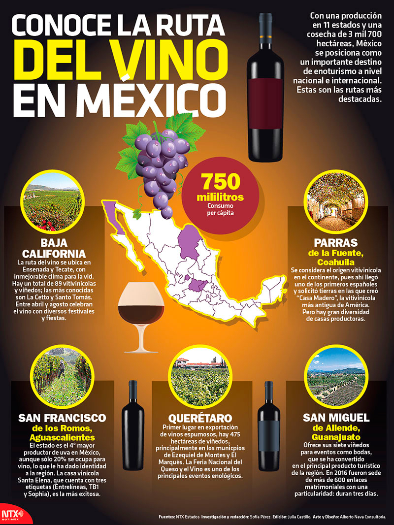 Conoce la ruta del vino en México 